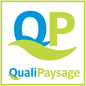 qp carre quadri