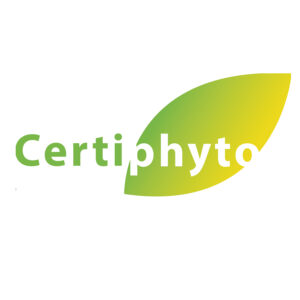 certyphito1