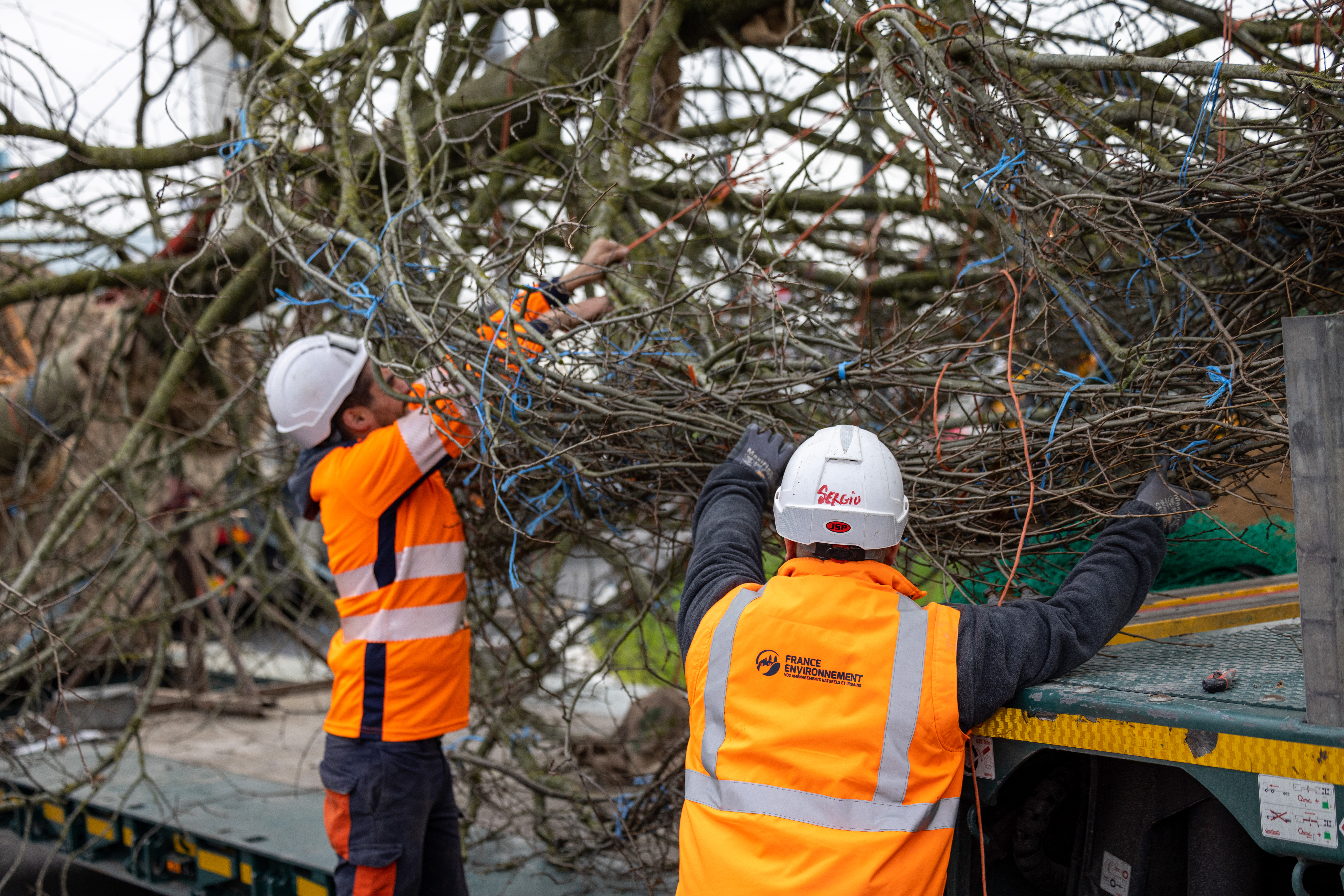 franceenvironnement chêne rungis 20211215 065@achphoto